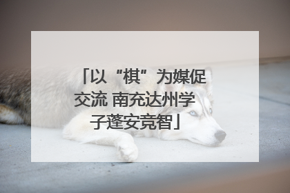 以“棋”为媒促交流 南充达州学子蓬安竞智