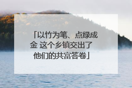以竹为笔、点绿成金 这个乡镇交出了他们的共富答卷