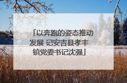 以奔跑的姿态推动发展 记安吉县孝丰镇党委书记沈强