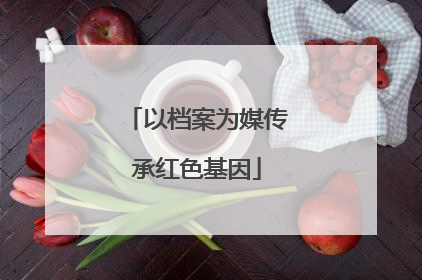 以档案为媒传承红色基因