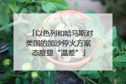 以色列和哈马斯对美国的加沙停火方案态度显“温差”