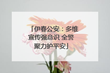 伊春公安：多维宣传强意识 全警聚力护平安