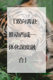 双向奔赴推动西咸一体化深度融合