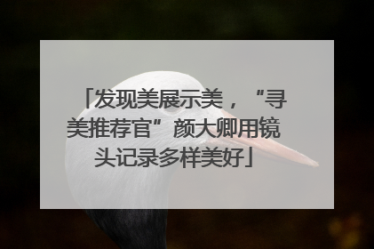 发现美展示美，“寻美推荐官”颜大卿用镜头记录多样美好