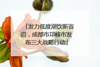 发力低度潮饮新赛道，成都市邛崃市发布三大战略行动