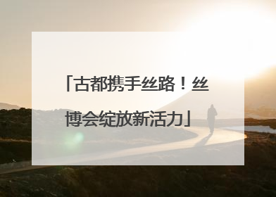 古都携手丝路！丝博会绽放新活力