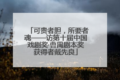 可贵者胆，所要者魂——访第十届中国戏剧奖·曹禺剧本奖获得者戴先良