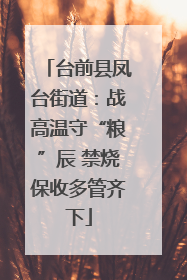台前县凤台街道：战高温守“粮”辰 禁烧保收多管齐下