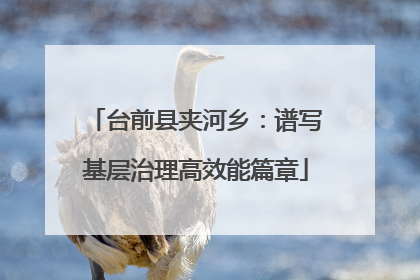台前县夹河乡：谱写基层治理高效能篇章