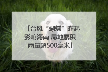 台风“蝴蝶”昨起影响海南 局地累积雨量超500毫米