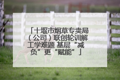 十堰市烟草专卖局（公司）联创轮训解工学难题 基层“减负”更“赋能”
