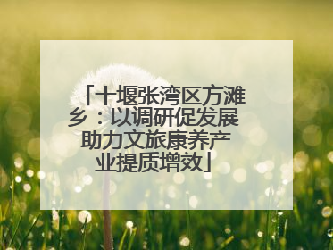 十堰张湾区方滩乡：以调研促发展 助力文旅康养产业提质增效