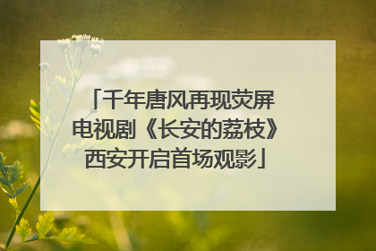 千年唐风再现荧屏 电视剧《长安的荔枝》西安开启首场观影