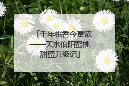 千年桃香今更浓——天水伯阳蜜桃甜蜜升级记