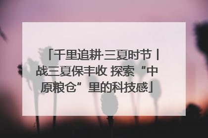 千里追耕·三夏时节丨战三夏保丰收 探索“中原粮仓”里的科技感