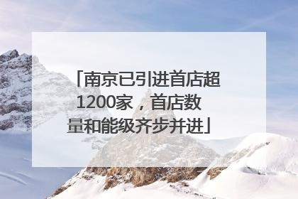 南京已引进首店超1200家，首店数量和能级齐步并进