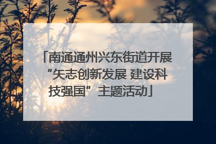 南通通州兴东街道开展“矢志创新发展 建设科技强国”主题活动