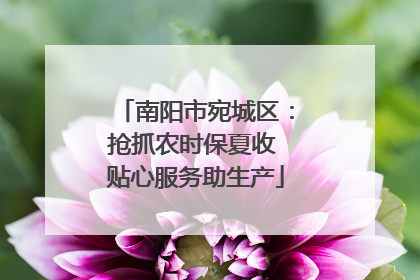 南阳市宛城区：抢抓农时保夏收 贴心服务助生产