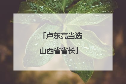 卢东亮当选山西省省长