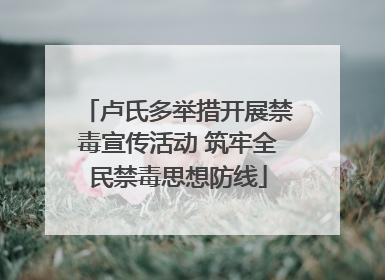 卢氏多举措开展禁毒宣传活动 筑牢全民禁毒思想防线