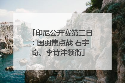 印尼公开赛第三日：国羽焦点战 石宇奇、李诗沣领衔