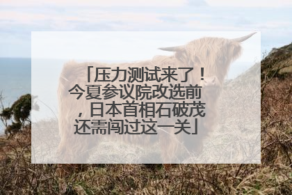 压力测试来了！今夏参议院改选前，日本首相石破茂还需闯过这一关