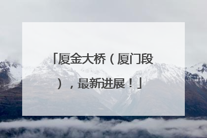 厦金大桥（厦门段），最新进展！