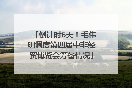 倒计时6天！毛伟明调度第四届中非经贸博览会筹备情况