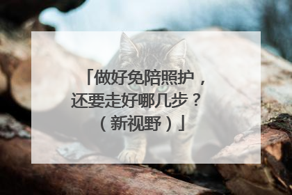 做好免陪照护，还要走好哪几步？（新视野）