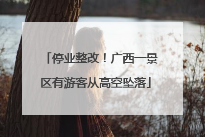 停业整改！广西一景区有游客从高空坠落