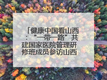 健康中国看山西：“一带一路”共建国家医院管理研修班成员参访山西省人民医院