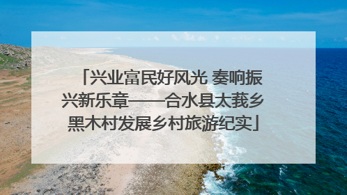 兴业富民好风光 奏响振兴新乐章——合水县太莪乡黑木村发展乡村旅游纪实