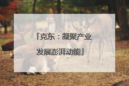 克东：凝聚产业发展澎湃动能
