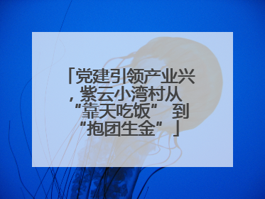 党建引领产业兴，紫云小湾村从 “靠天吃饭” 到 “抱团生金”