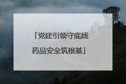 党建引领守底线 药品安全筑根基
