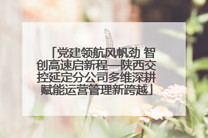 党建领航风帆劲 智创高速启新程—陕西交控延定分公司多维深耕赋能运营管理新跨越