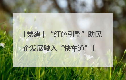 党建｜“红色引擎”助民企发展驶入“快车道”