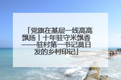 党旗在基层一线高高飘扬丨十年驻守米飘香——驻村第一书记莫日发的乡村印记