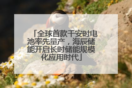 全球首款千安时电池率先量产，海辰储能开启长时储能规模化应用时代