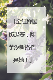 全红婵因伤退赛，陈芋汐新搭档是她！