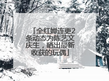 全红婵连更2条动态为陈艺文庆生，晒出最新收获的玩偶