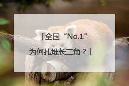 全国“No.1”为何扎堆长三角？