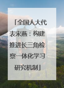 全国人大代表宋燕：构建推进长三角检察一体化学习研究机制