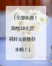 全部免费！郑州10大赏荷好去处推荐来啦！