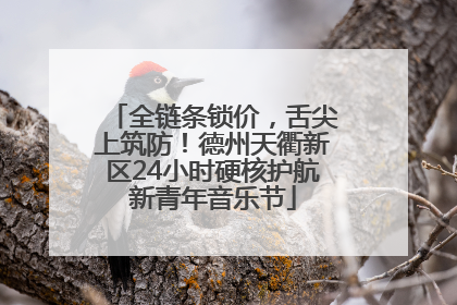 全链条锁价，舌尖上筑防！德州天衢新区24小时硬核护航新青年音乐节