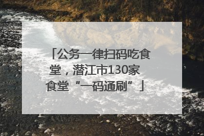 公务一律扫码吃食堂，潜江市130家食堂“一码通刷”