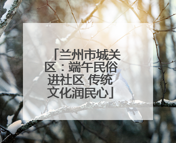 兰州市城关区：端午民俗进社区 传统文化润民心