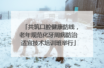 共筑口腔健康防线，老年规范化牙周病防治适宜技术培训班举行
