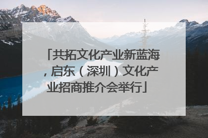 共拓文化产业新蓝海，启东（深圳）文化产业招商推介会举行