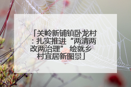 关岭新铺镇卧龙村：扎实推进“两清两改两治理” 绘就乡村宜居新图景